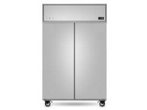 Skope PG21.UPF.2.SD Two Solid Door Vertical Freezer